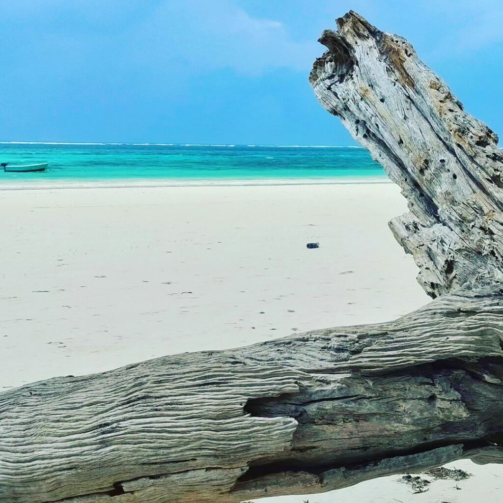 Diani Beach in Ukunda 