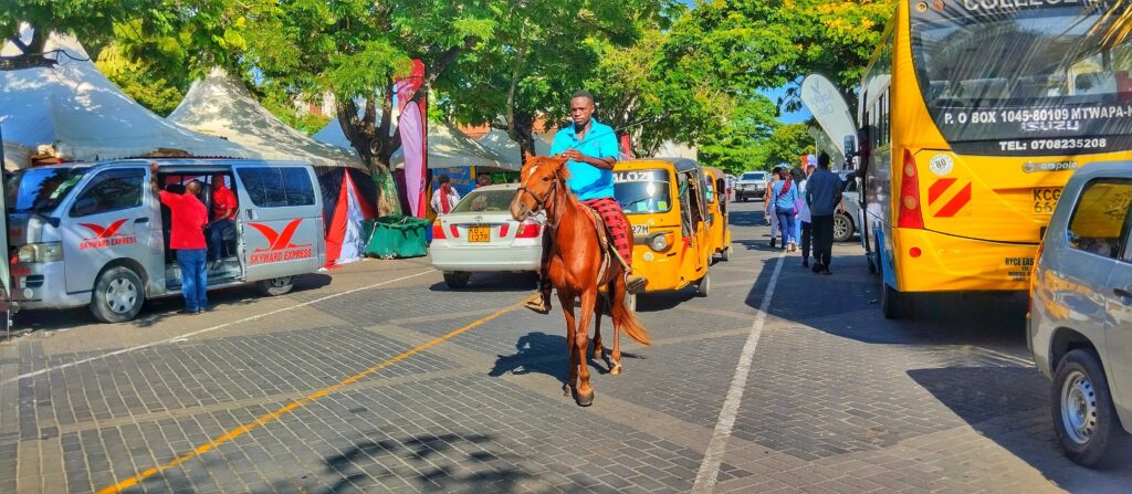 A man riding a brown horse at Mama Ngina Waterfront 