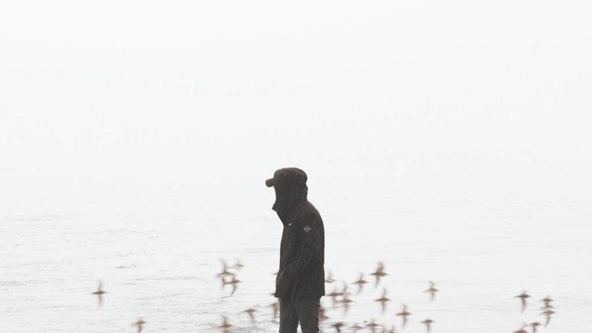 Man watching birds flying over the beach alone - girlfriend wants to travel solo