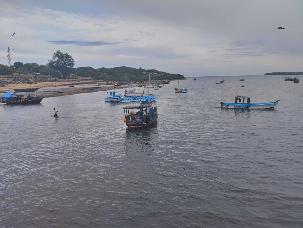 A beach in South Coast, shimoni