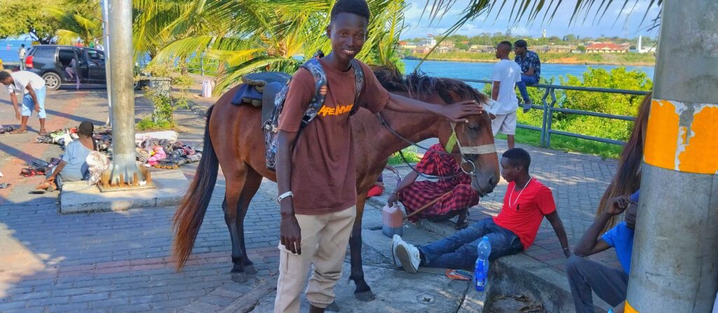 A man touching a horse at Mama Ngina Waterfront In Mombasa 