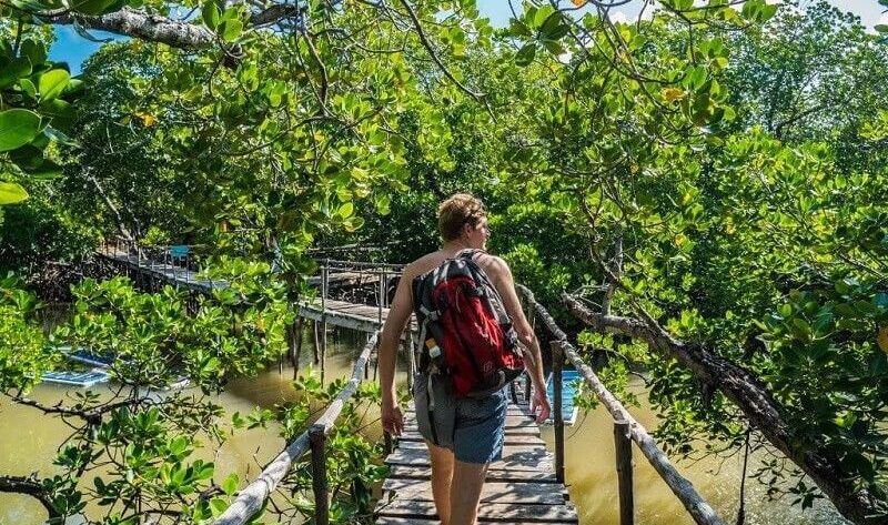 A man walking on a boardwalk in Watamu at Mida Creek