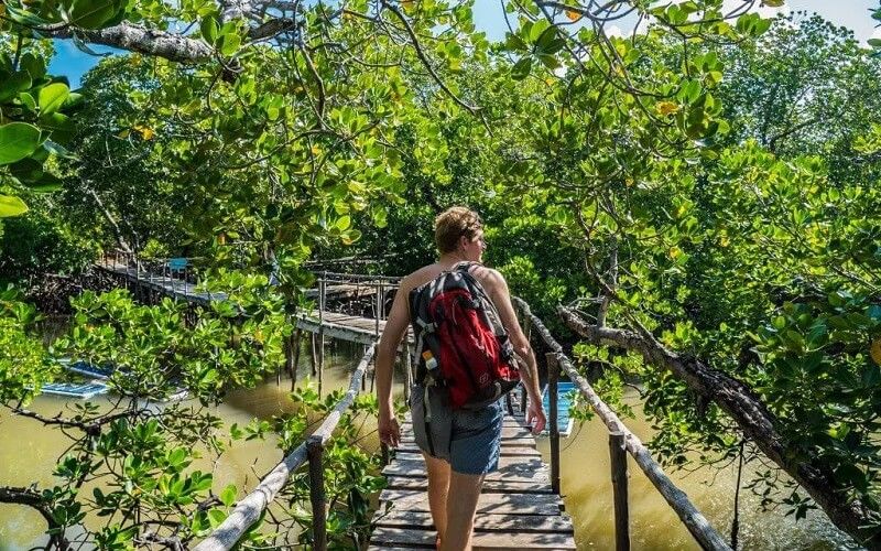 A man walking on a boardwalk in Watamu at Mida Creek