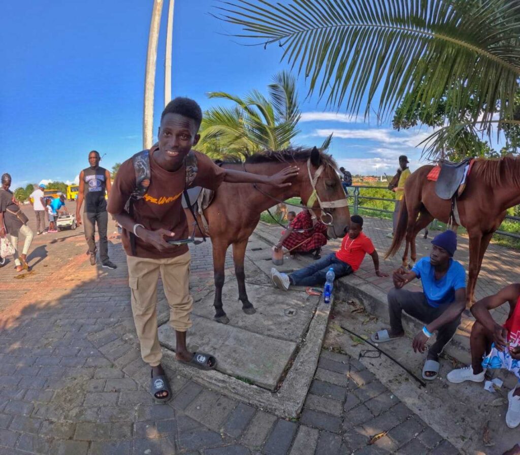 A man standing in front of a horse in Mombasa 