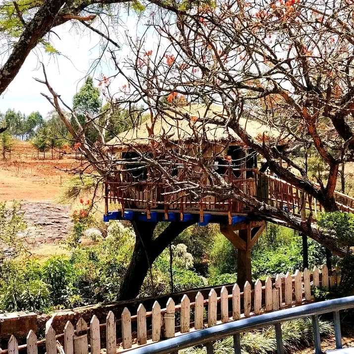 A tree house offering a view to the river at Kolol Riverside Resort 