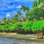 A beach in Likoni Mombasa