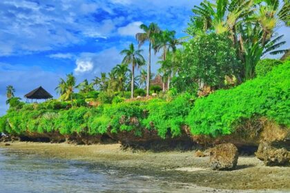 A beach in Likoni Mombasa