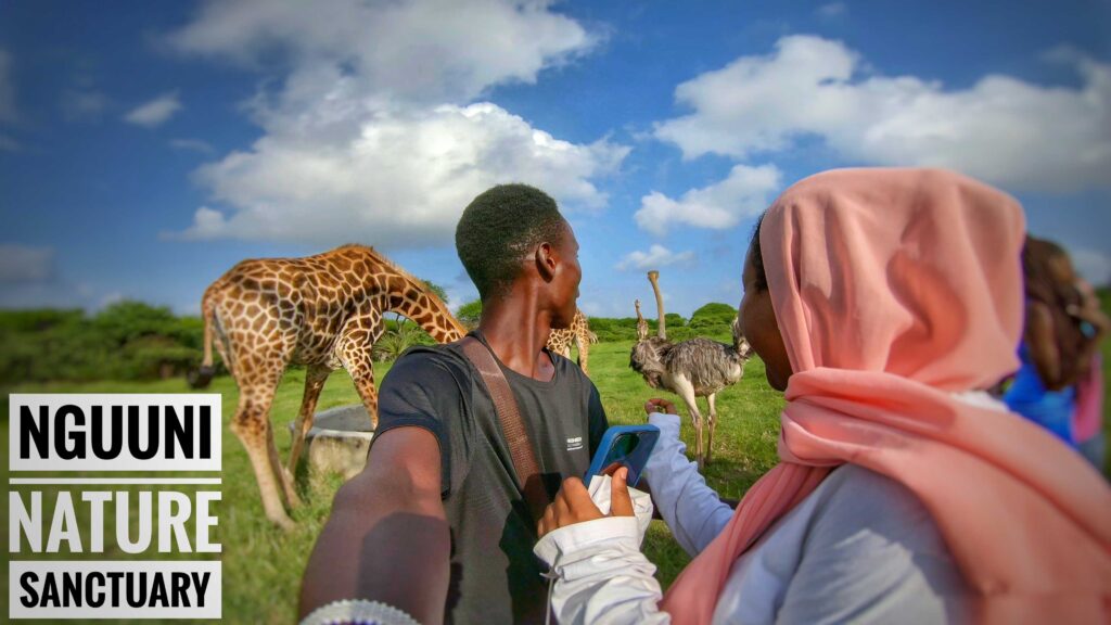 taking selfie at the park with a girl while looking at giraffes